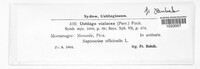 Image Associated With the Occurrence